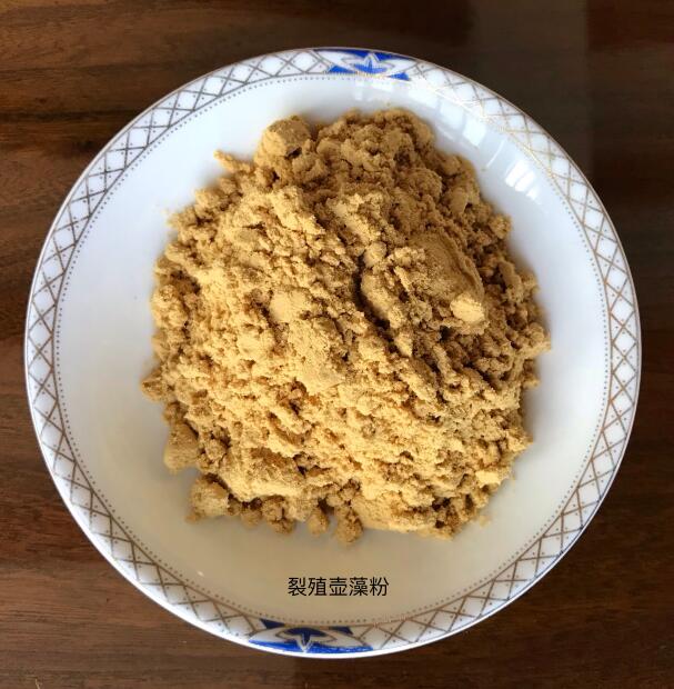 饲料级裂殖壶藻粉